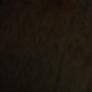 Meet your Posher, Damie